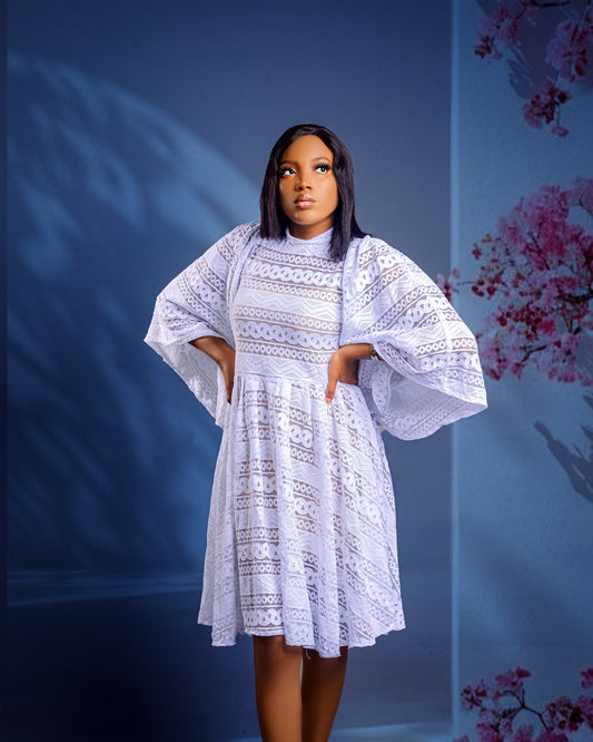 Venessa Peplum Lace dress